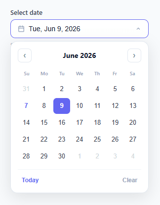 Screenshot of the Date Picker snippet rendered live